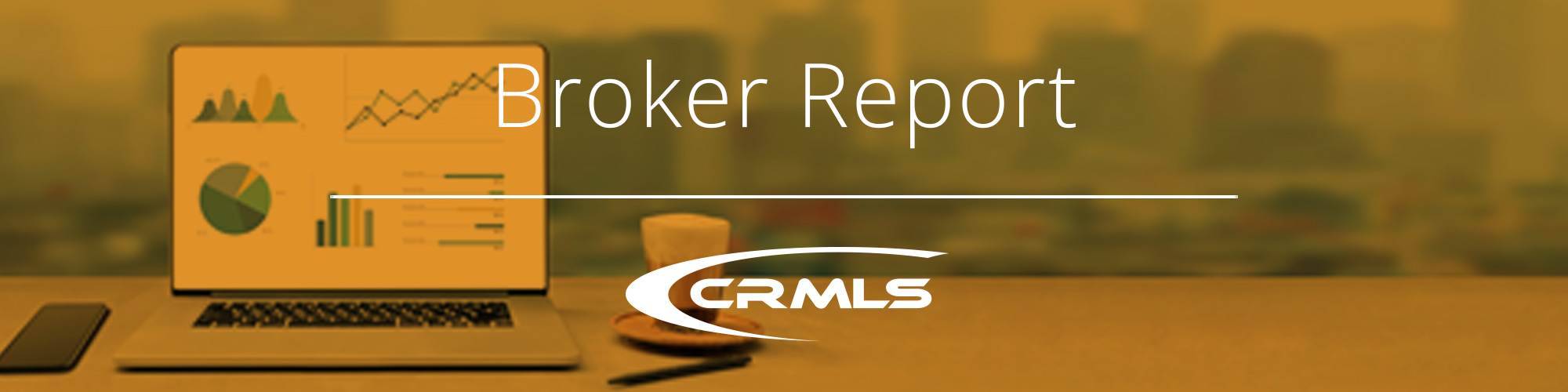 You are currently viewing CRMLS Broker Report: February 2021